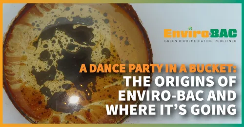 A Dance Party in a Bucket: The Origins of Enviro-BAC and Where It’s Going