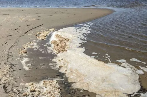 Sea foam can contain considerably more PFAS than water below, study finds