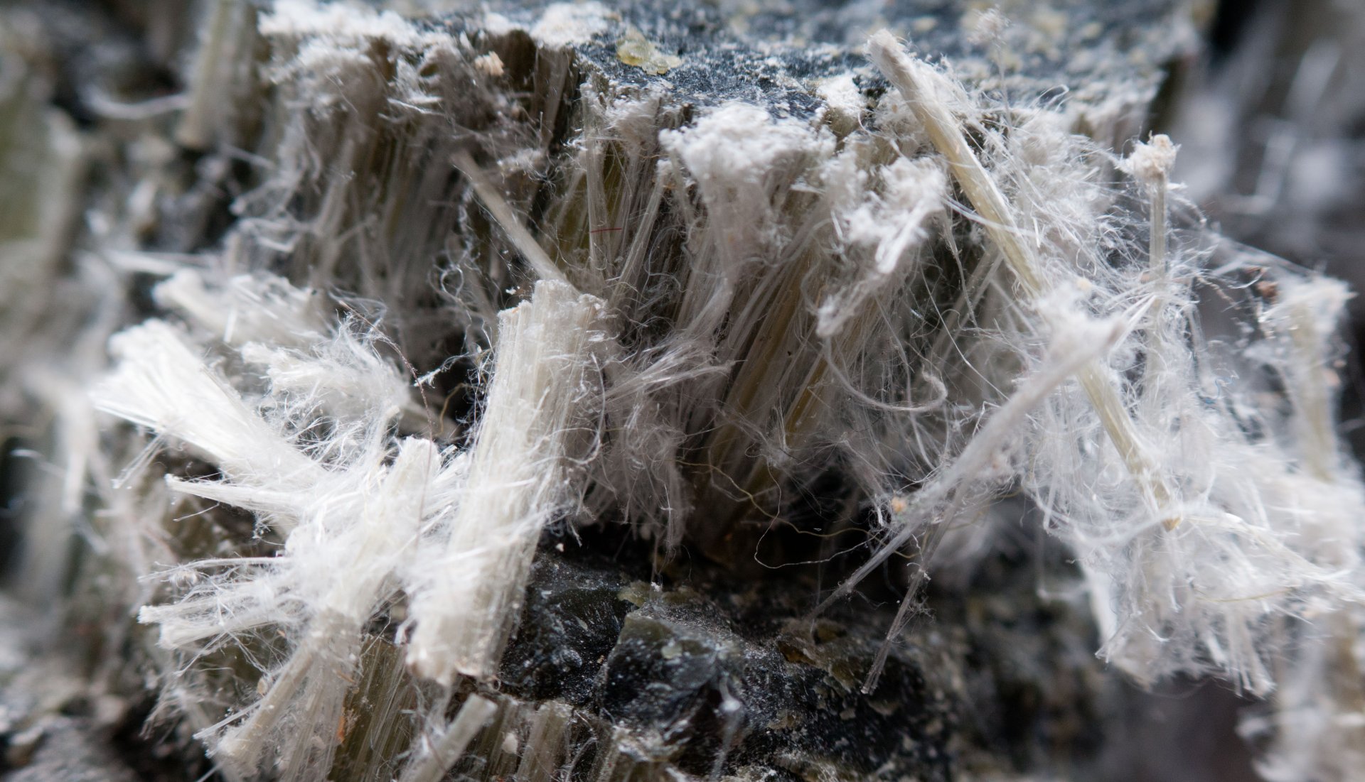 What You Need to Know About… Asbestos