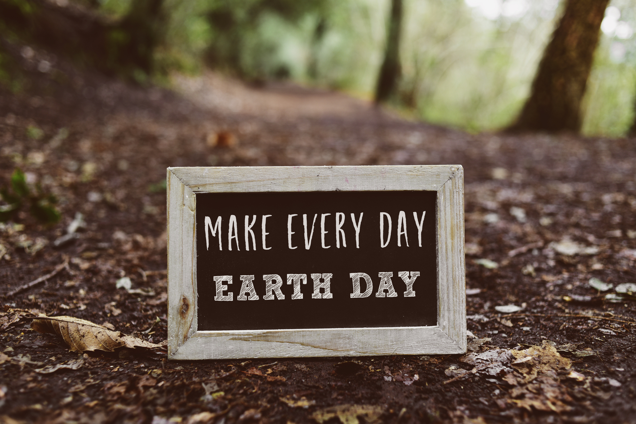 “Organizations Can Honor ‘Earth Day’ Every Day”