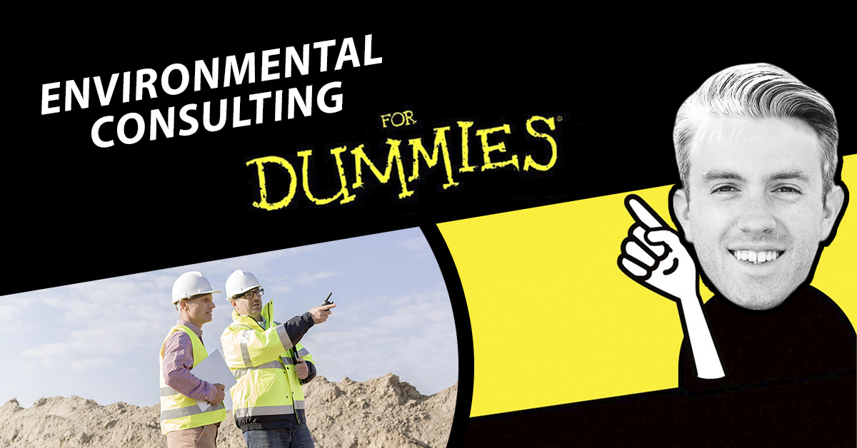 The Dummies Guide To Environmental Consulting