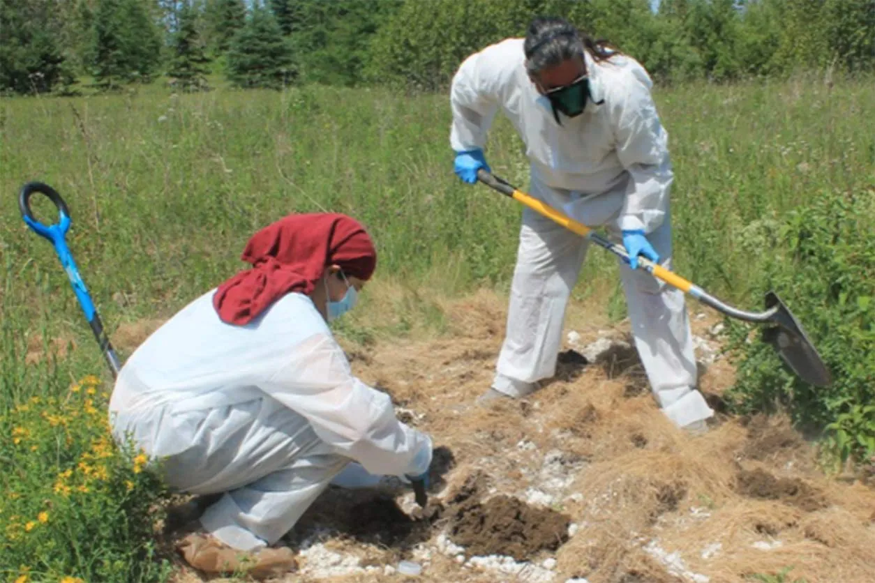 Researchers team up with tribe, community to fight PFAS with plants