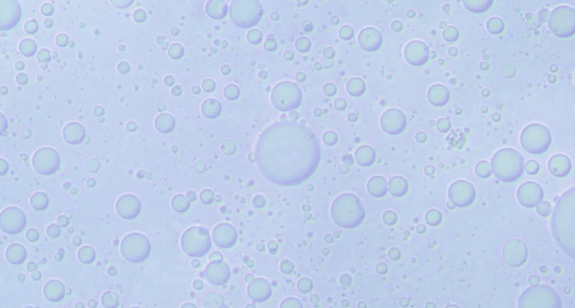 Process doubles the size of PFAS molecules, making them easy to destroy