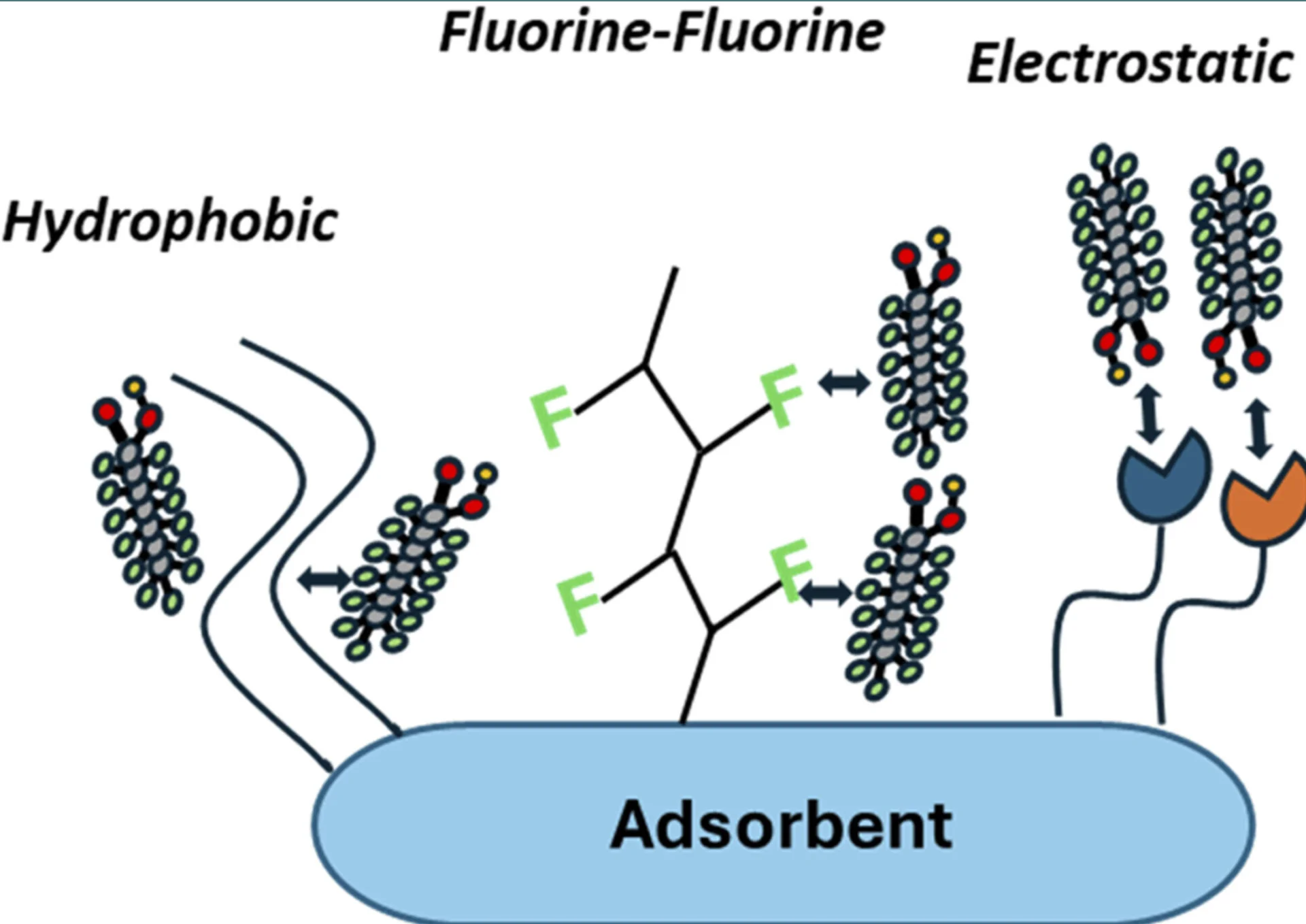 Molecular 'Velcro' gel removes PFAS from water without fluorinated materials