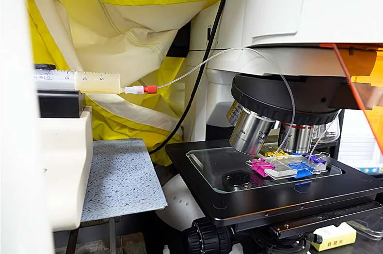 A microfluidic chip for one-step detection of PFAS and other pollutants