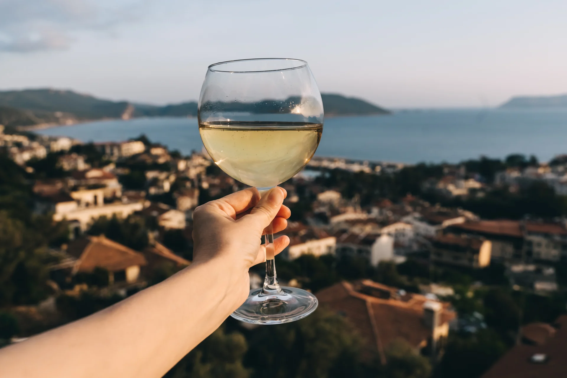 Traces of 'forever chemical' found in European wines, new study reveals