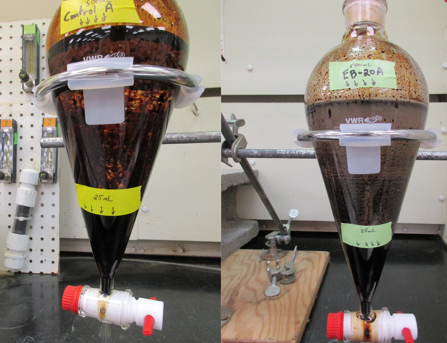 enviro-bac experiment